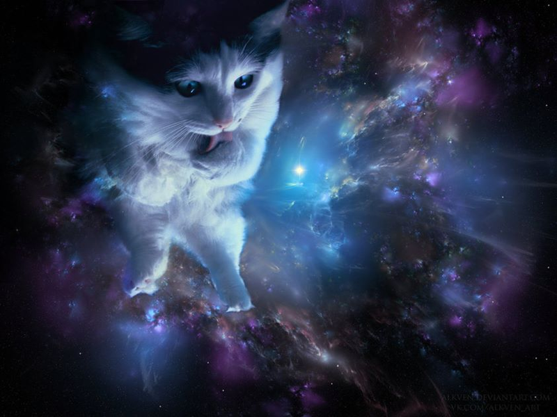 Illustration for article titled My God, It's Full Of Cats! The Very Best Artwork Of Cats In Space